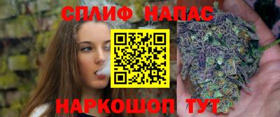 индика Пыть-Ях