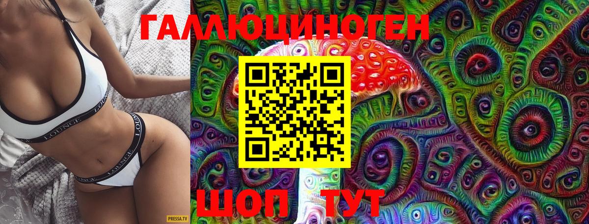 Псилоцибиновые грибы Cubensis Туапсе