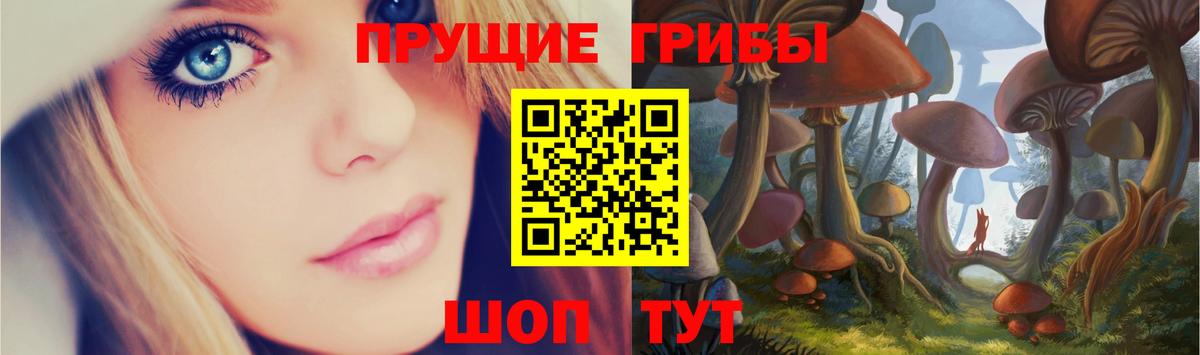 Галлюциногенные грибы Cubensis  Вход с VPN  Псилоцибиновые грибы ЛСД  Туапсе 